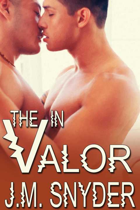 Cover image for book V: The V in Valor