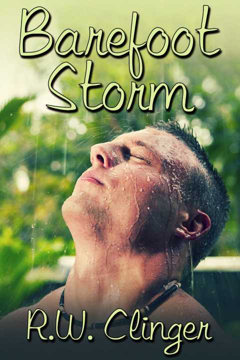 Cover image for book Barefoot Storm