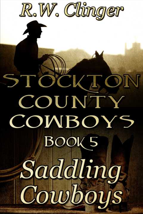 Cover image for book Stockton County Cowboys Book 5: Saddling Cowboys