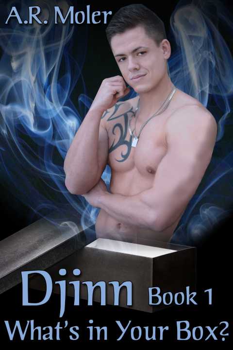 Cover image for book Djinn Book 1: What's in Your Box?