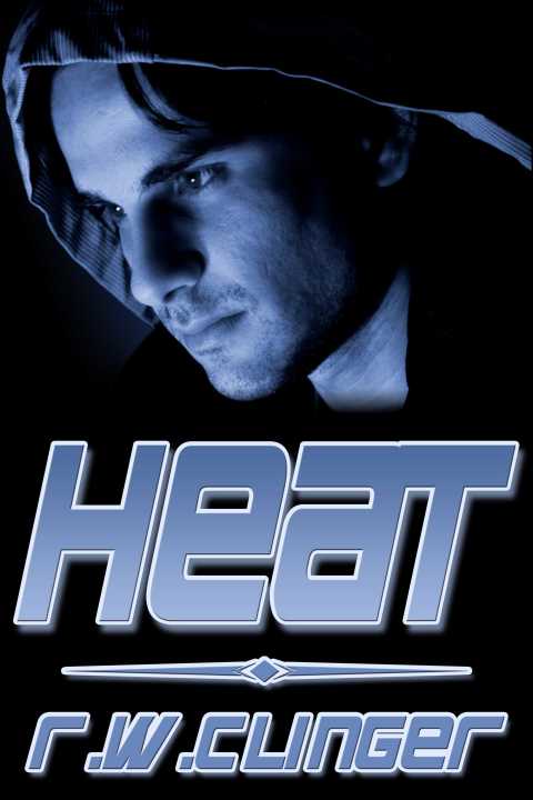 Cover image for book Heat