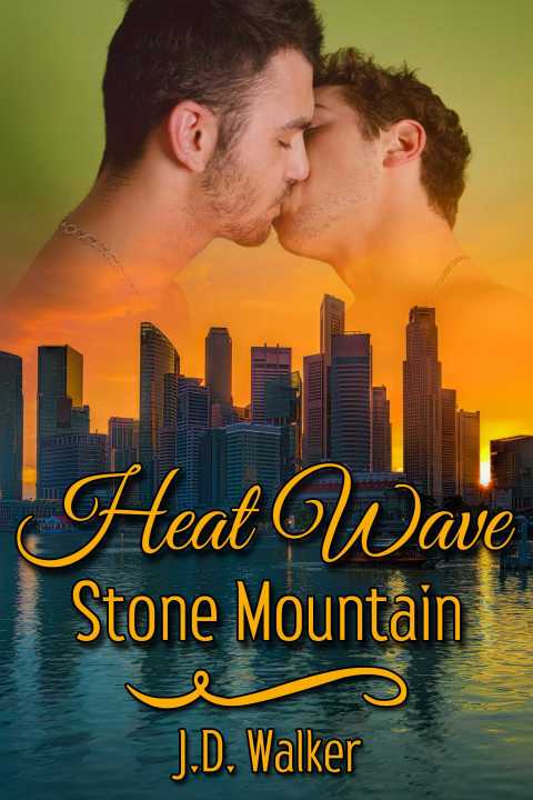 Cover image for book Heat Wave: Stone Mountain