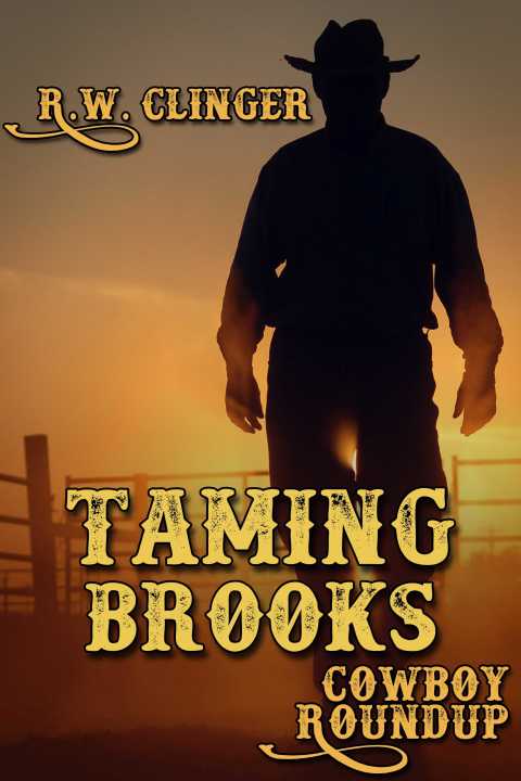Cover image for book Taming Brooks