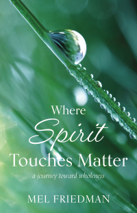 Cover image: Where Spirit Touches Matter 9781611534245