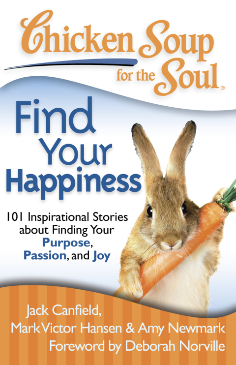 Cover image for book Chicken Soup for the Soul: Find Your Happiness