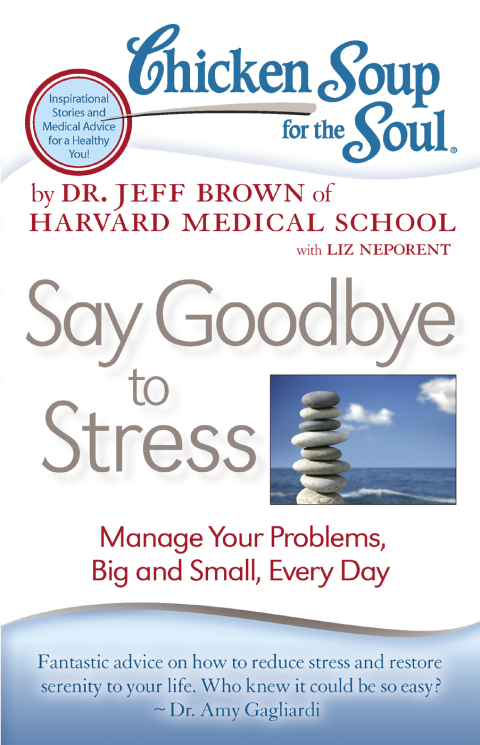 Cover image for book Chicken Soup for the Soul: Say Goodbye to Stress