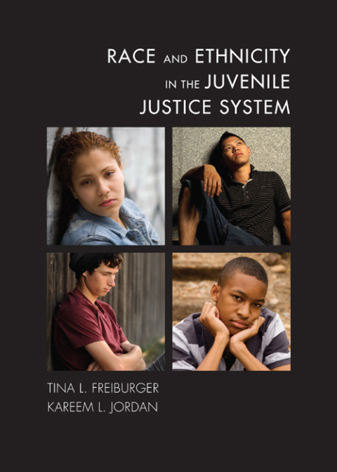 Cover image for book Race and Ethnicity in the Juvenile Justice System
