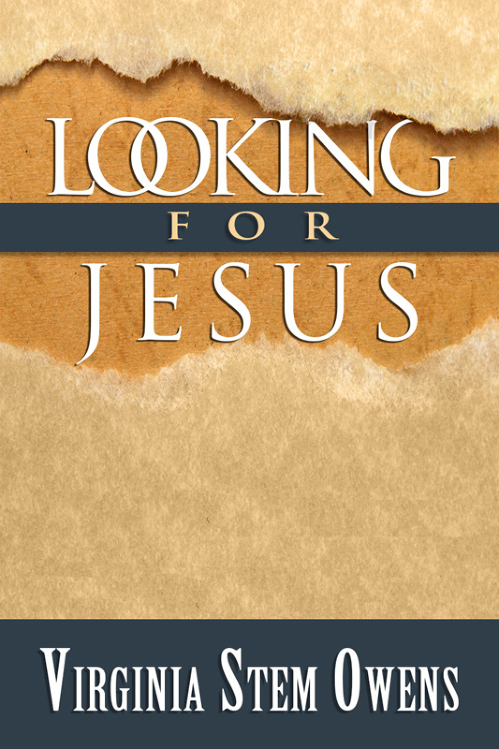 Looking for Jesus (eBook) - Virginia Stem Owens,
