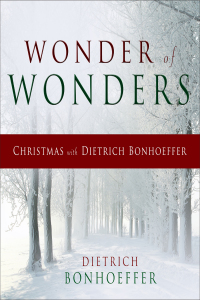 Imagen de portada: Wonder of Wonders 9780664260453