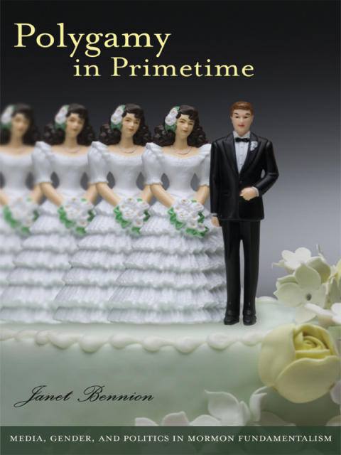 Cover image for book Polygamy in Primetime