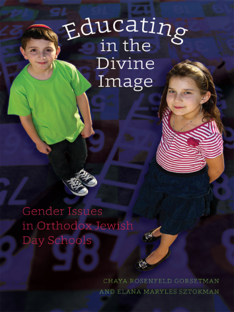 Cover image for book Educating in the Divine Image
