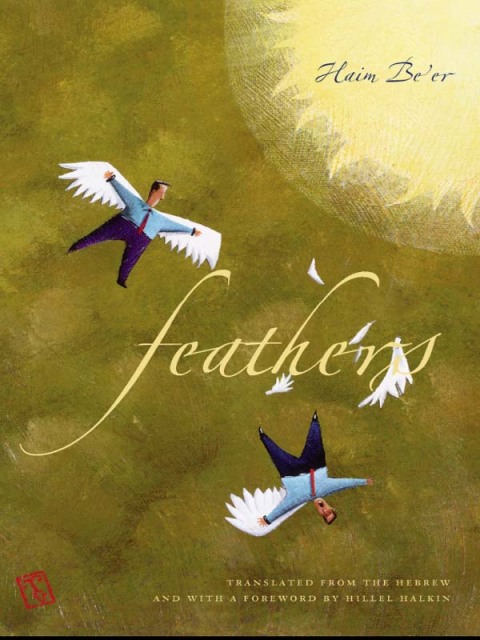 Cover image for book Feathers