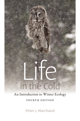 Life in the Cold