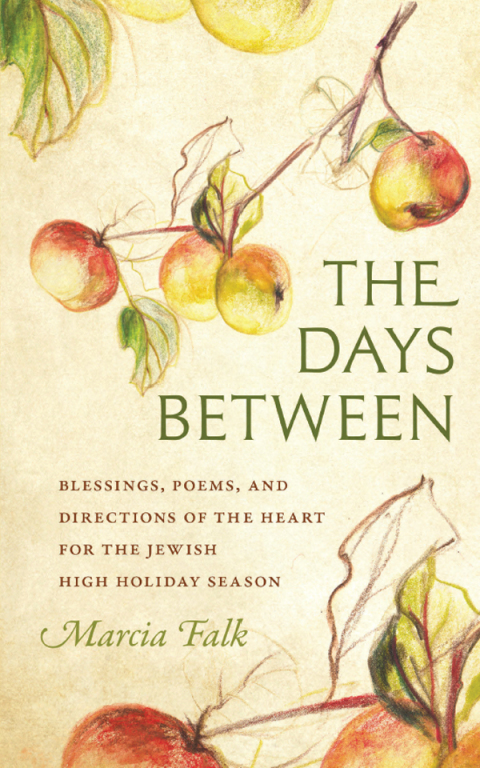 Cover image for book The Days Between