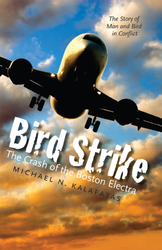 Bird Strike