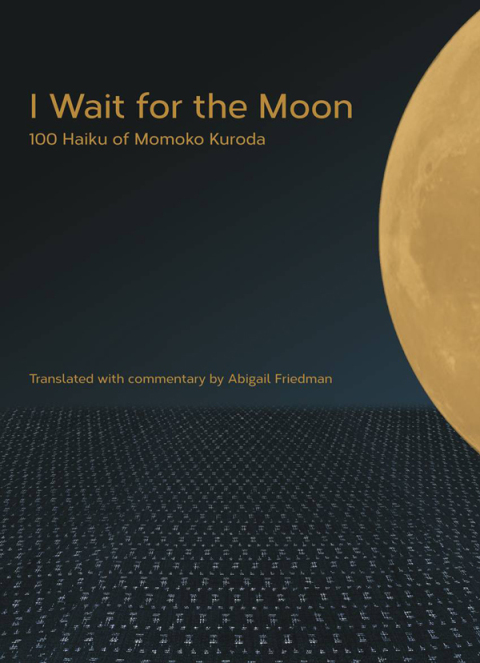 Cover image for book I Wait for the Moon