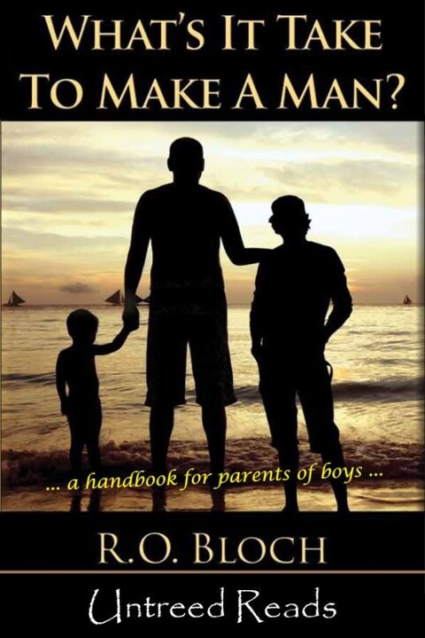 Cover image for book What's It Take to Make a Man?: