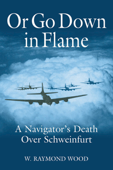 Cover image for book Or Go Down in Flame
