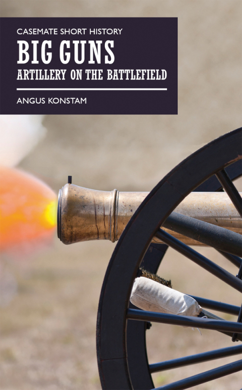 Cover image for book Big Guns