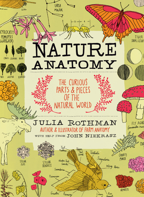 Cover image for book Nature Anatomy