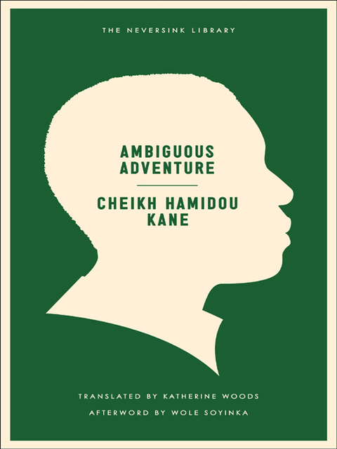 Cover image for book Ambiguous Adventure