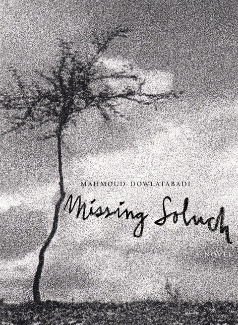 Cover image for book Missing Soluch