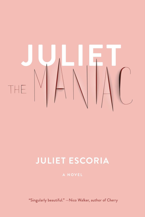 Cover image for book Juliet the Maniac