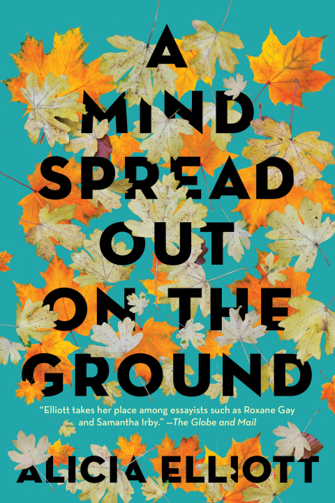 Cover image for book A Mind Spread Out on the Ground