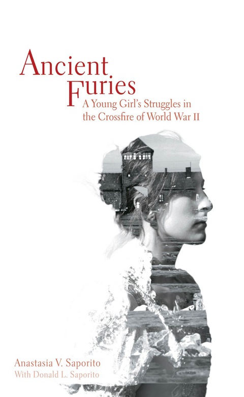 Cover image for book Ancient Furies