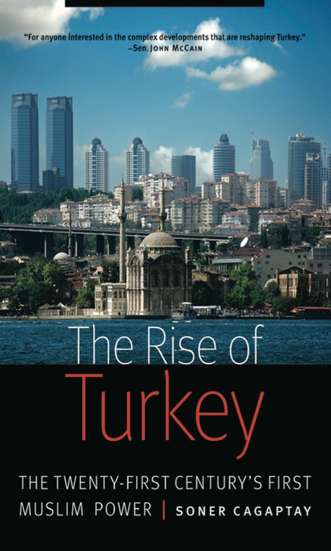 Cover image for book The Rise of Turkey