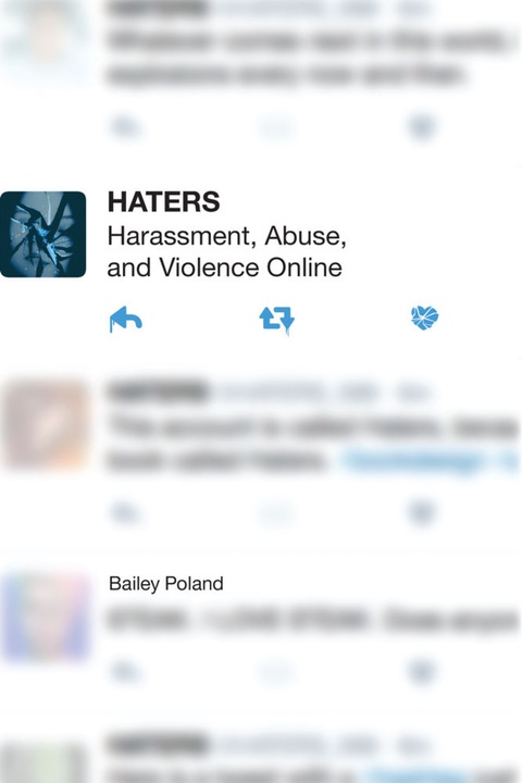Cover image for book Haters