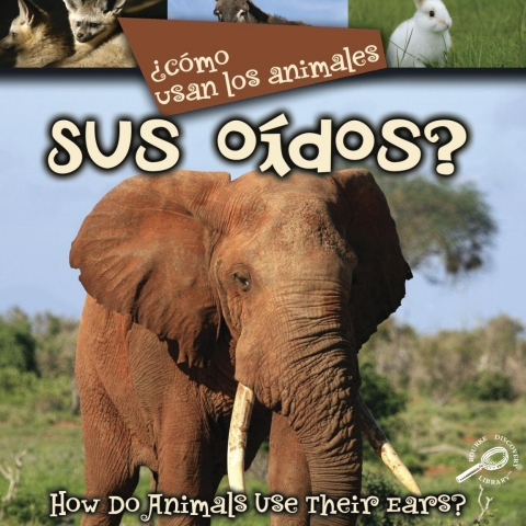 Cover image for book ¿Como usan los animales… sus oídos?