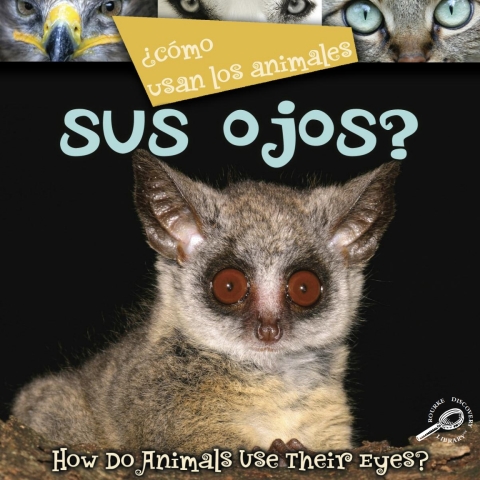 Cover image for book ¿Como usan los animales… sus ojos?