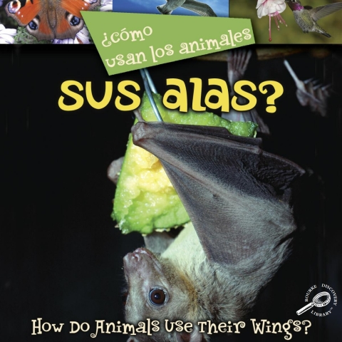 Cover image for book ¿Como usan los animales… sus alas?