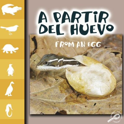 Cover image for book A partir del huevo