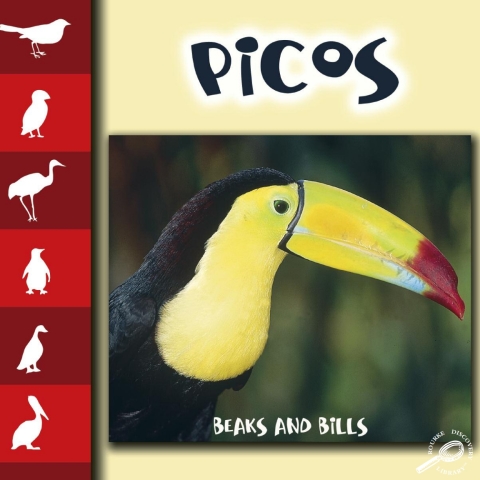 Cover image for book Picos