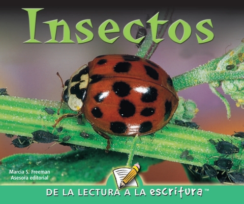 Cover image for book Insectos