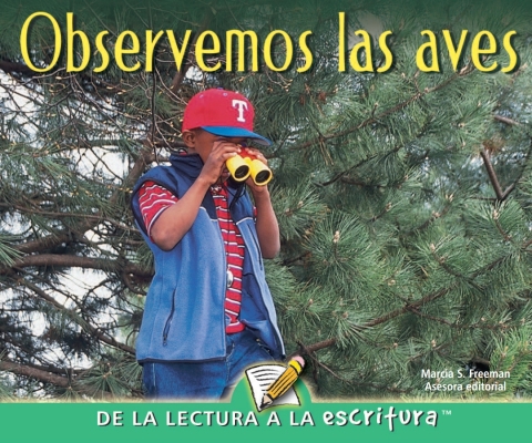 Cover image for book Observemos las aves