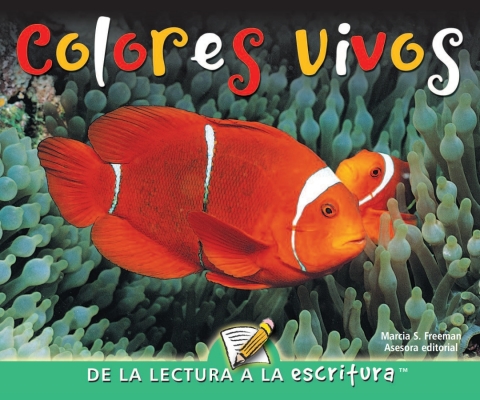 Cover image for book Colores vivos