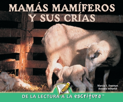 Cover image for book Mamas mamiferos y sus crias