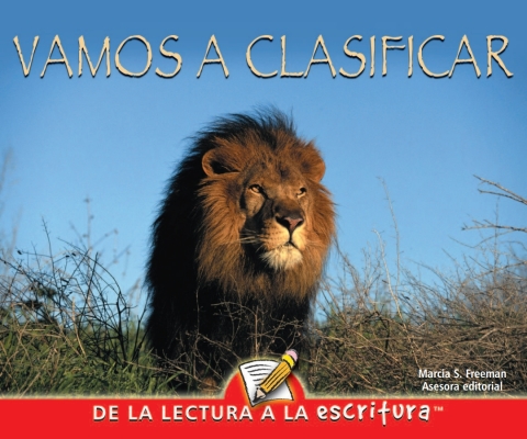 Cover image for book Vamos a clasificar