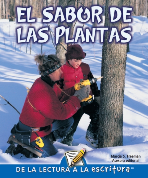 Cover image for book El sabor de las plantas