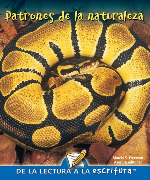 Cover image for book Patrones de la naturaleza