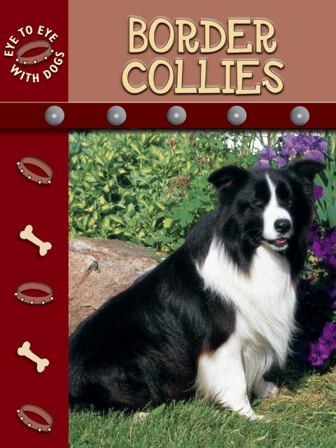 Cover image for book Border Collies