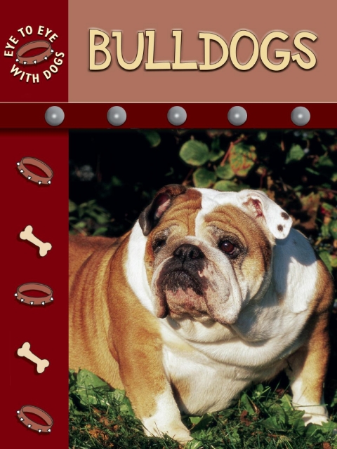 Cover image for book Bulldogs
