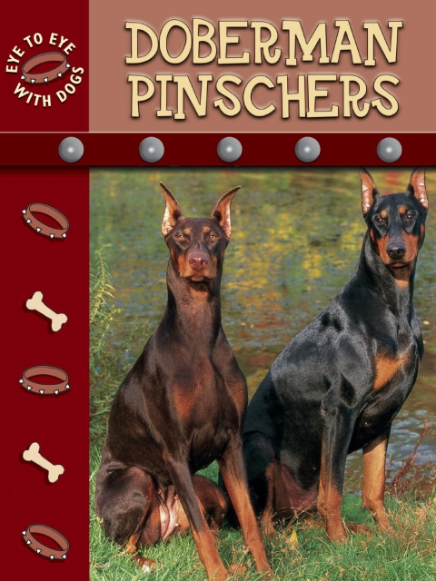 Cover image for book Doberman Pinschers