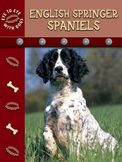 Cover image for book English Springer Spaniels