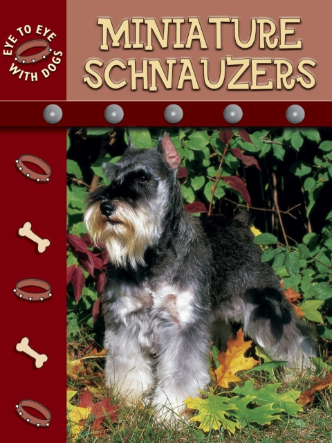 Cover image for book Miniature Schnauzer