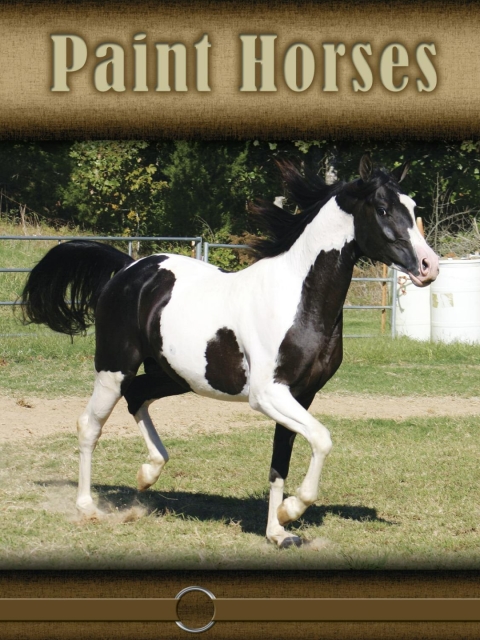 Cover image for book Paint Horses