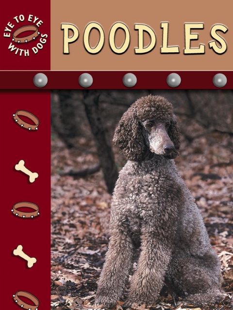 Cover image for book Poodles